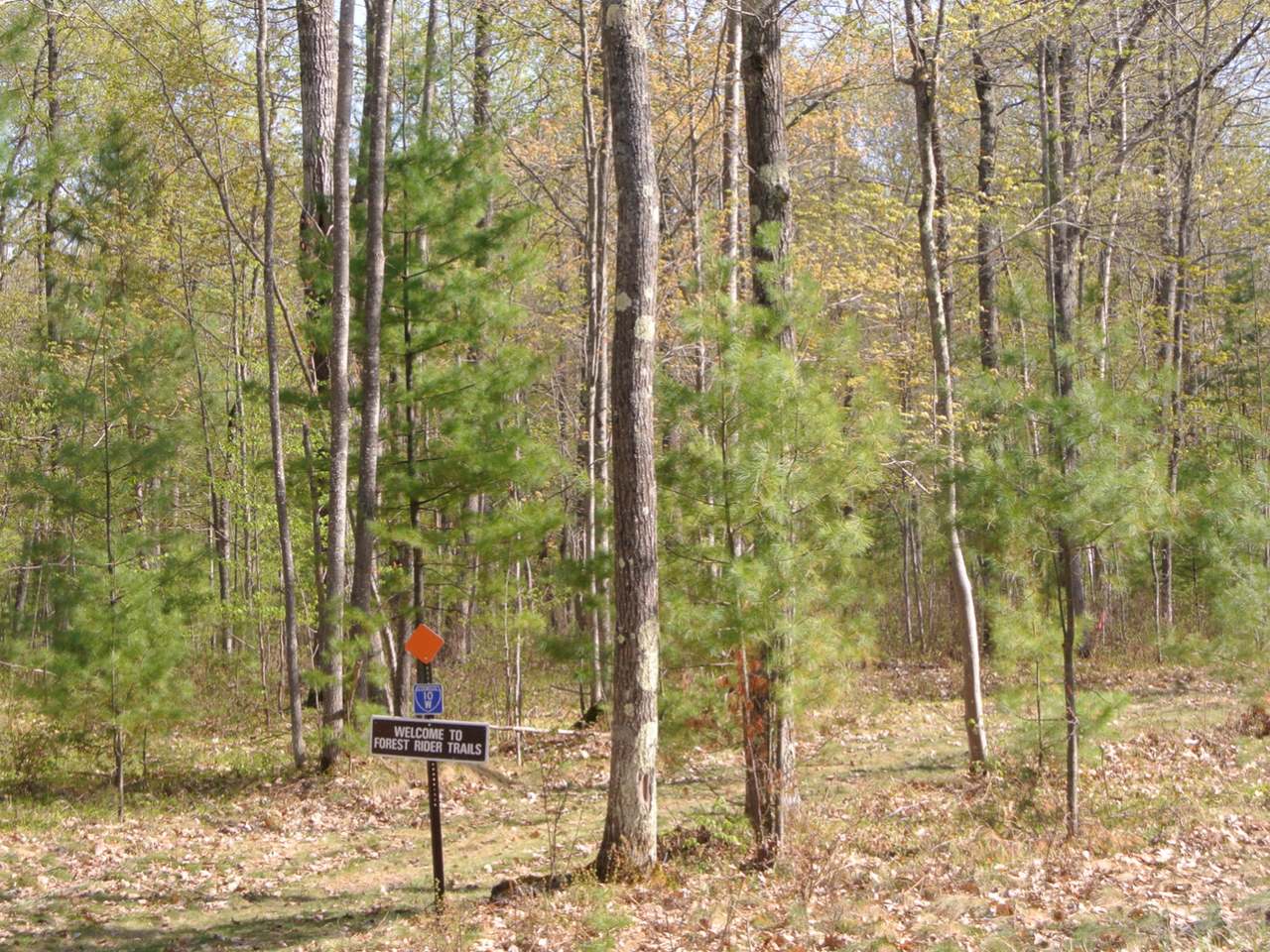101-ac Sutton Road Minocqua, WI 54548 - Photo 11 of 35 Gallery Image 11