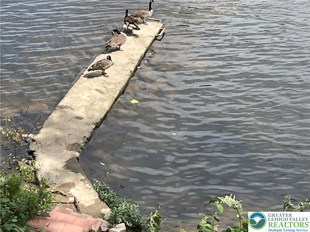 6023 Del Haven Road Bangor, PA 18013 - Photo 5 of 29