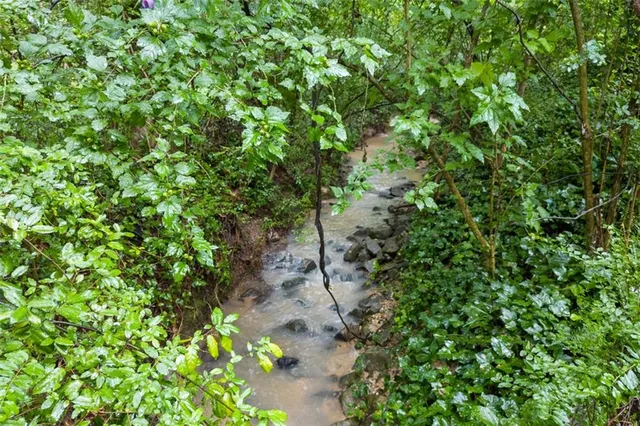 a backyard of a house with lots of green space