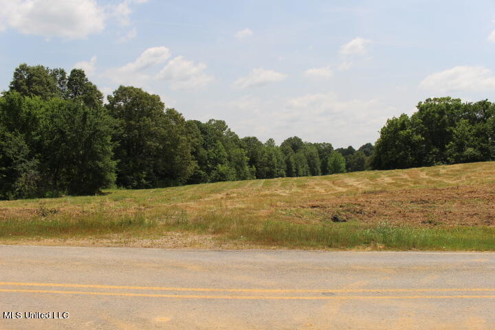 Holly Springs Road Byhalia, MS 38611 - Photo 1 of 5 IMG_7189