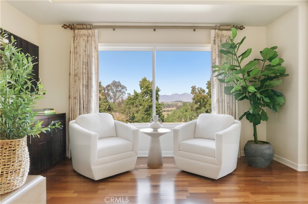 18 Asilomar Road Laguna Niguel, CA 92677 - Photo 53 of 75 a living room with furniture and a potted plant