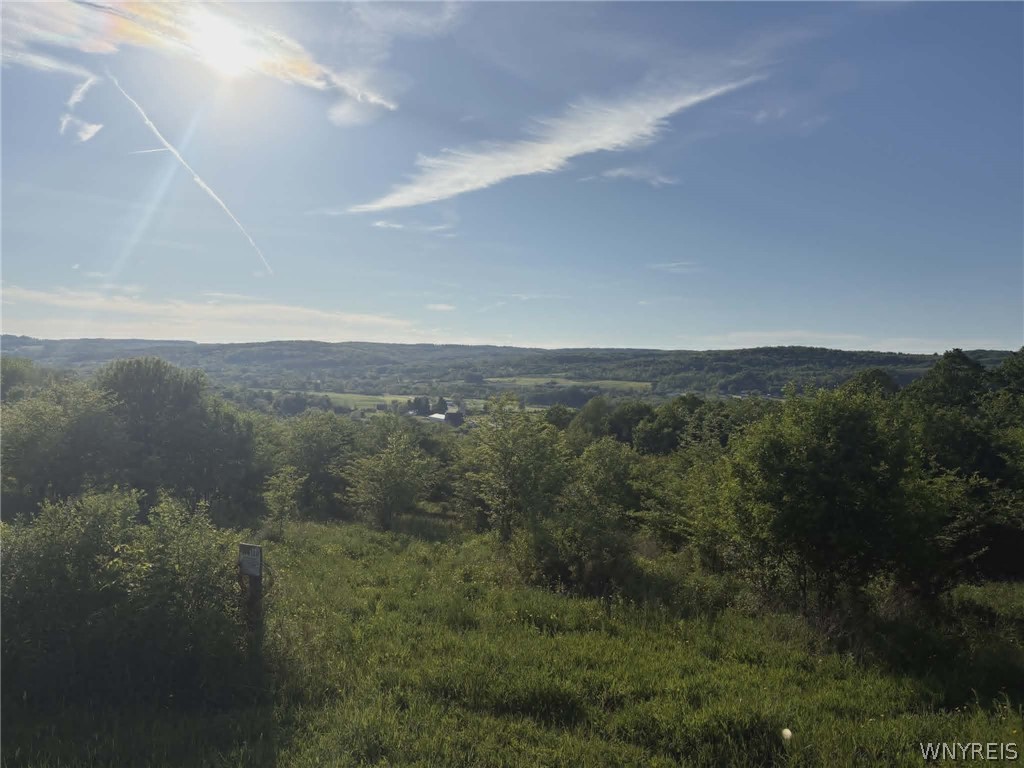 Spring Valley Road Black Creek, NY 14714 - Photo 17 of 17 Gallery Image 17