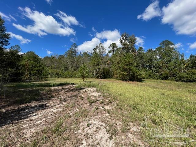 125-block Upton Road Century, FL 32535 - Photo 12 of 21