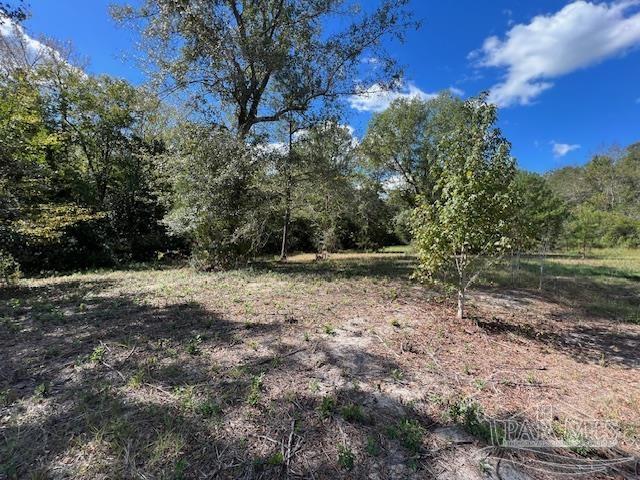 125-block Upton Road Century, FL 32535 - Photo 13 of 21
