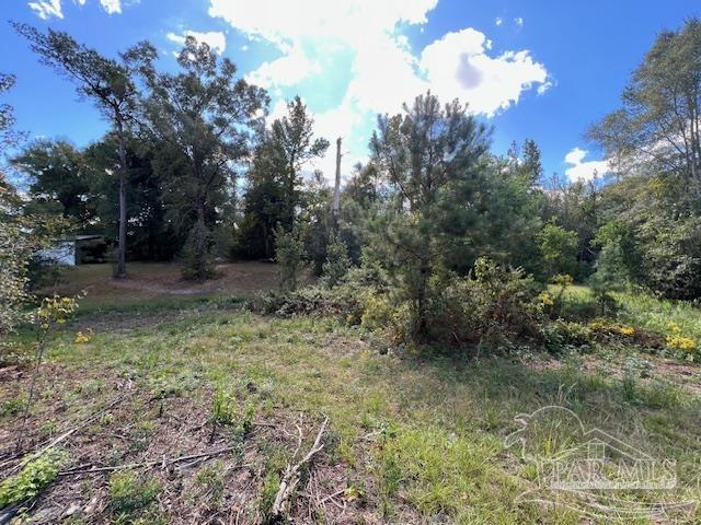 125-block Upton Road Century, FL 32535 - Photo 14 of 21