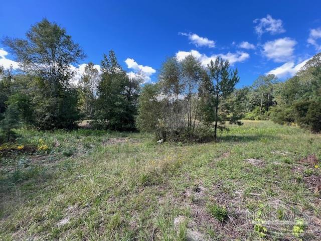 125-block Upton Road Century, FL 32535 - Photo 15 of 21