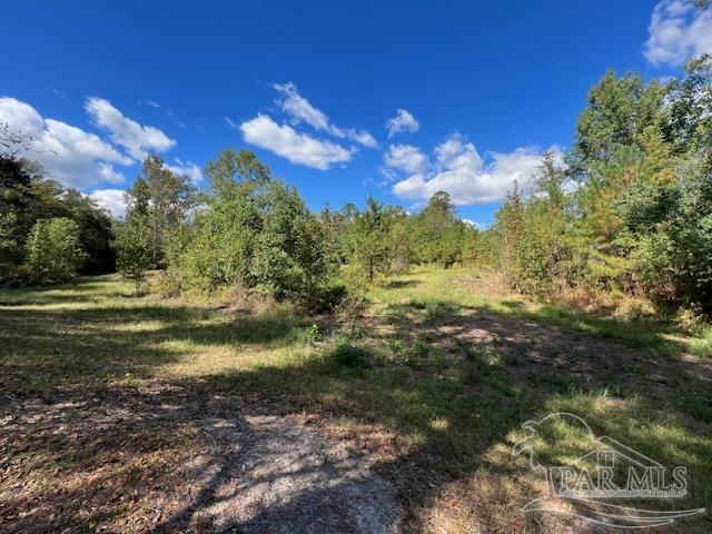 125-block Upton Road Century, FL 32535 - Photo 18 of 21