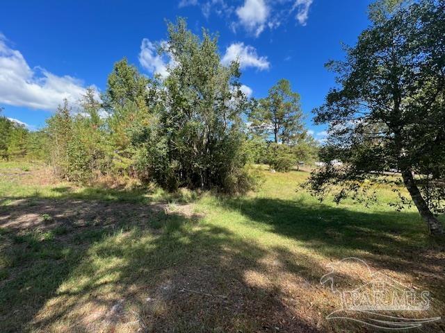 125-block Upton Road Century, FL 32535 - Photo 19 of 21