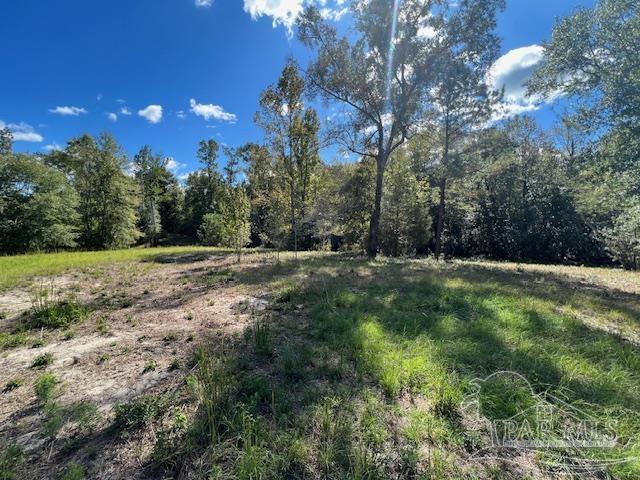 125-block Upton Road Century, FL 32535 - Photo 20 of 21