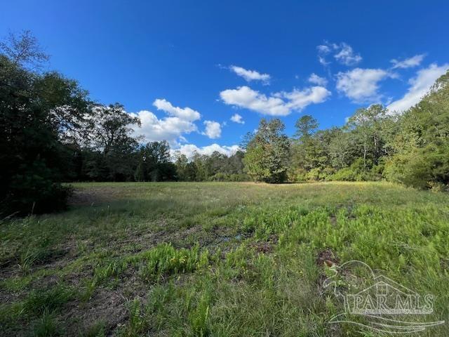 125-block Upton Road Century, FL 32535 - Photo 2 of 21