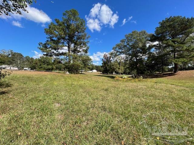 125-block Upton Road Century, FL 32535 - Photo 7 of 21