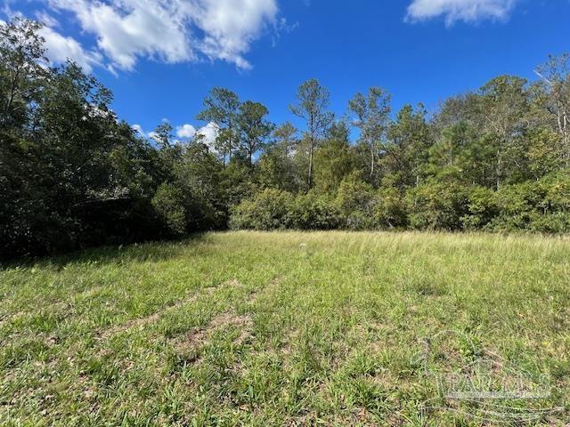 125-block Upton Road Century, FL 32535 - Photo 8 of 21