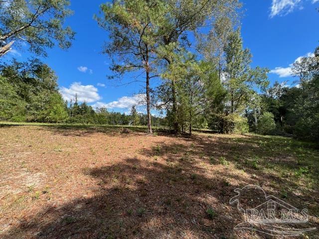 125-block Upton Road Century, FL 32535 - Photo 9 of 21