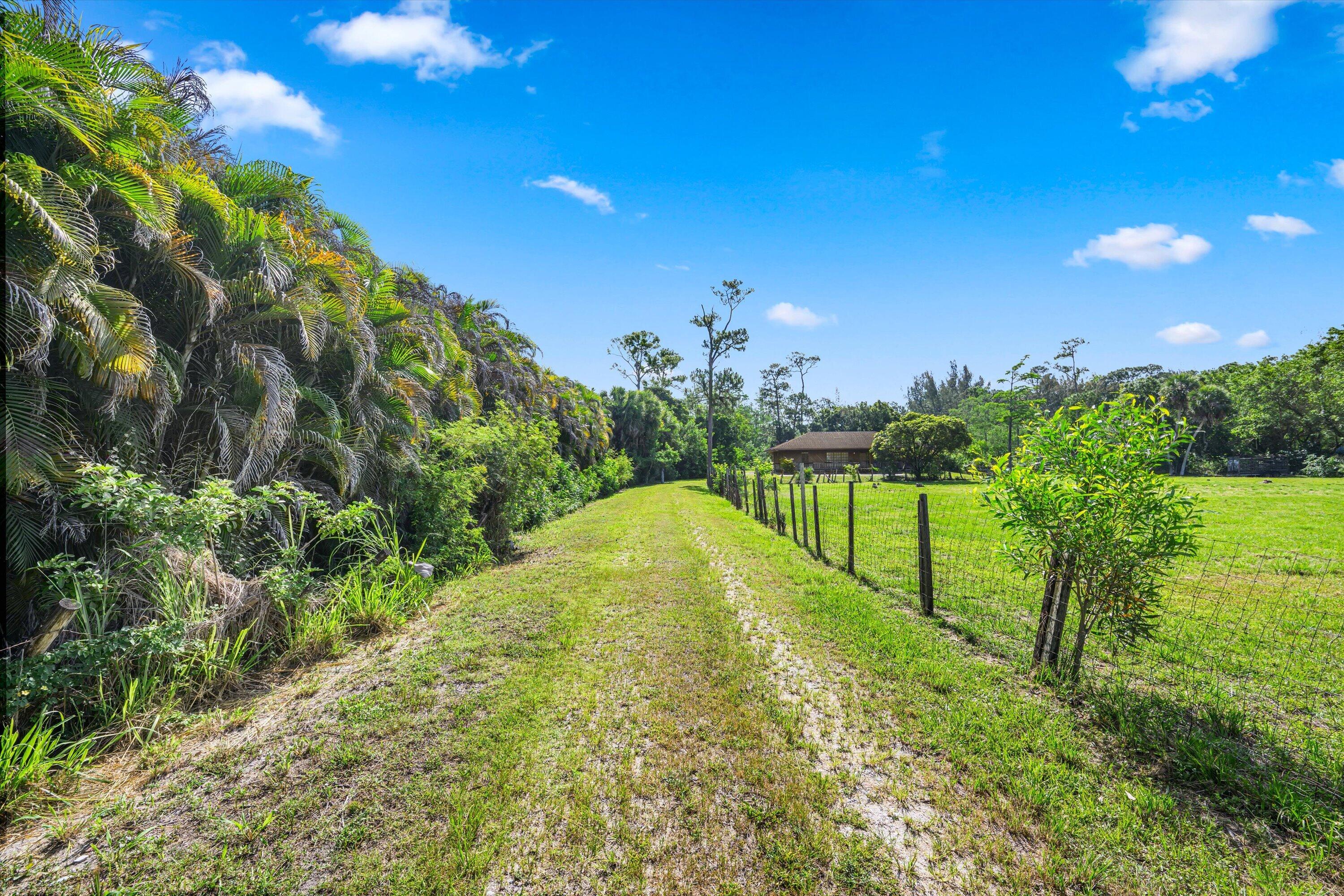 1814 A Road Loxahatchee Groves, FL 33470 - Photo 8 of 38 driving up to the home