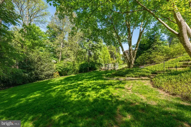 a view of backyard with green space
