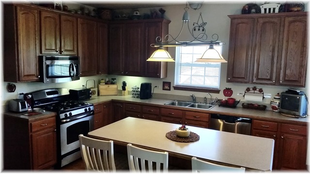 26020 Mary Road Garden Prairie, IL 61038 - Photo 14 of 25 a kitchen with kitchen island granite countertop a sink dishwasher stove and cabinets with wooden floor