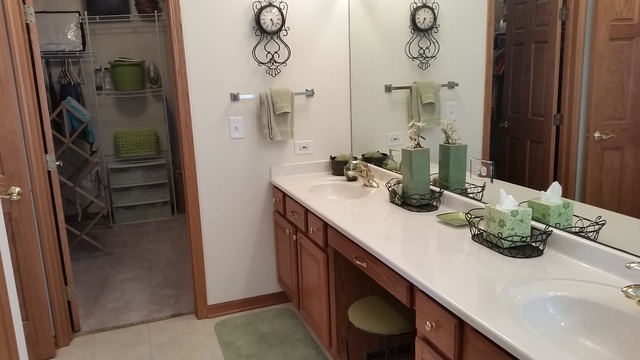 26020 Mary Road Garden Prairie, IL 61038 - Photo 22 of 25 a bathroom with a sink double vanity and a mirror