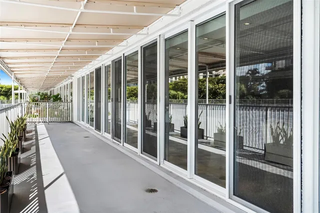 a view of a palm tree with sky view