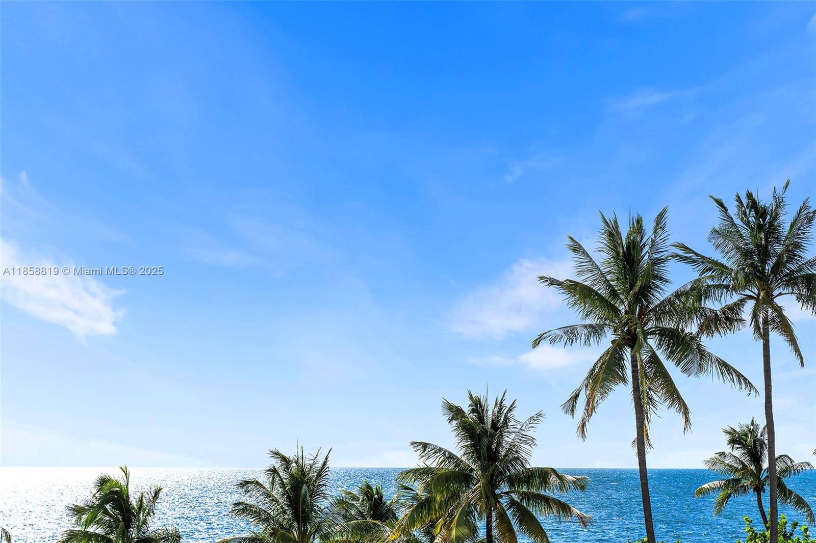 600 Grapetree Drive, Unit 3BS Key Biscayne, FL 33149 - Photo 44 of 47 a view of a palm tree with sky view