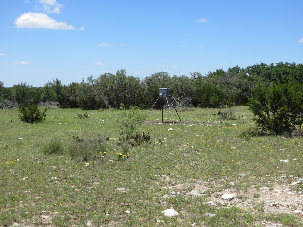 24 Kc 24 Junction, TX 76849 - Photo 15 of 23 a view of outdoor space with trees all around