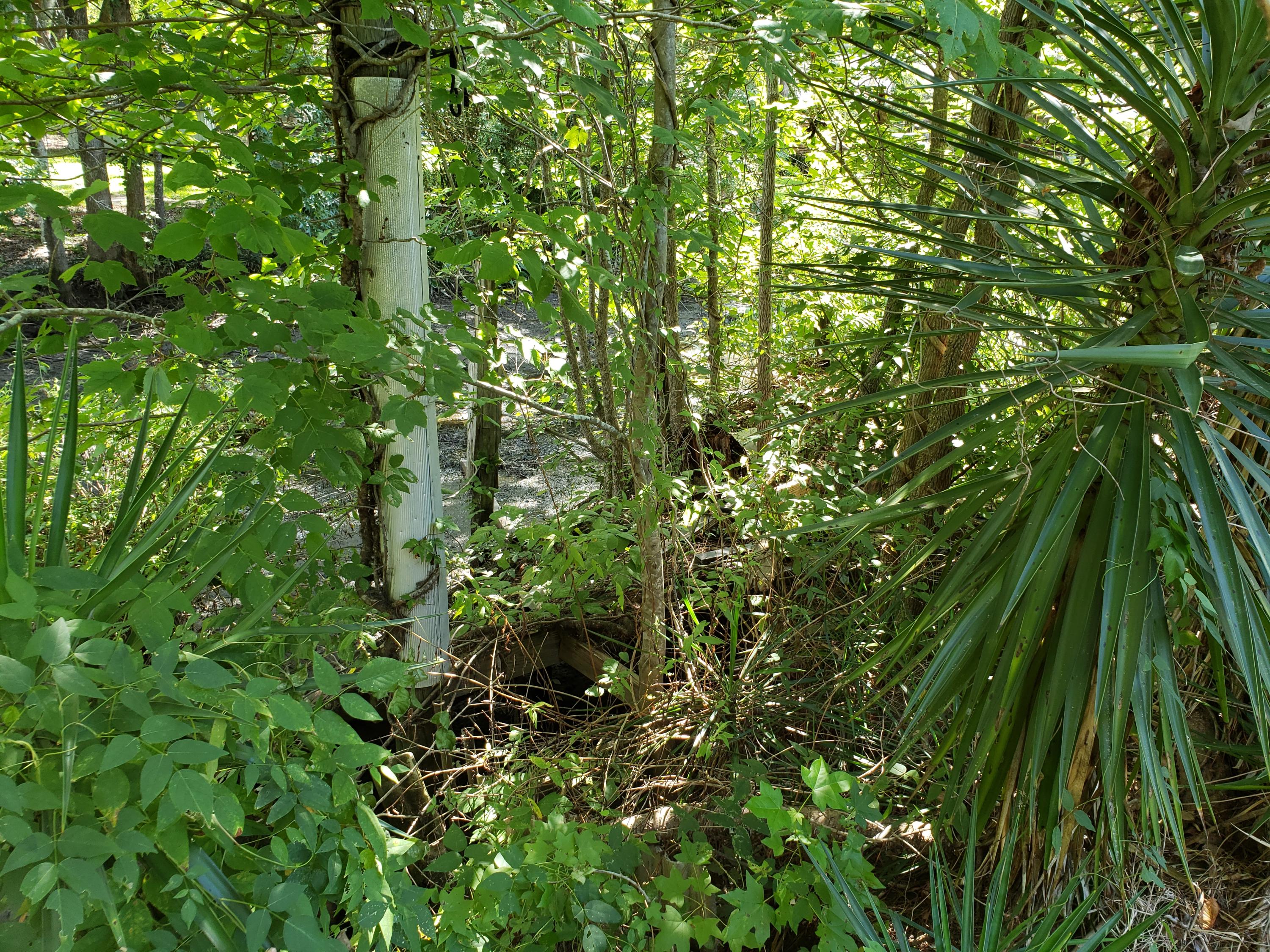 1804 Scaup Road Moncks Corner, SC 29461 - Photo 36 of 44 20190723_105822