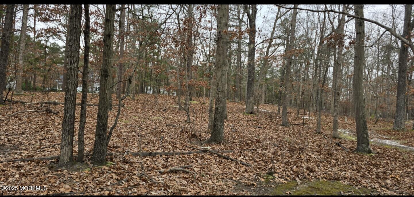 104 Wiseman Road Jackson, NJ 08527 - Photo 2 of 4 1000021911