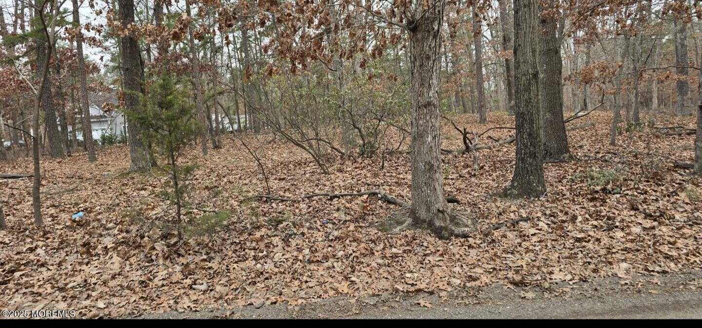 104 Wiseman Road Jackson, NJ 08527 - Photo 3 of 4 1000021910