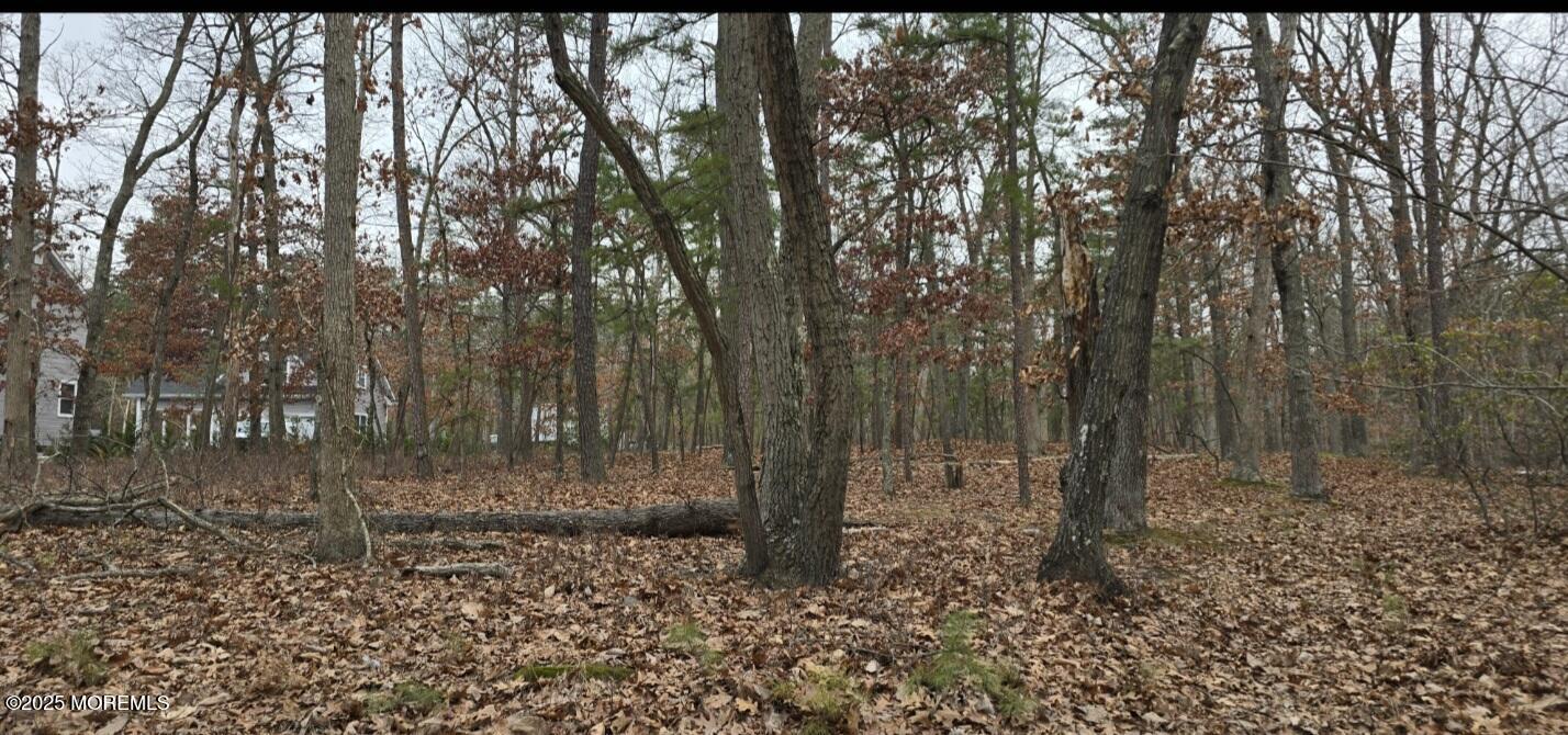 104 Wiseman Road Jackson, NJ 08527 - Photo 4 of 4 1000021909