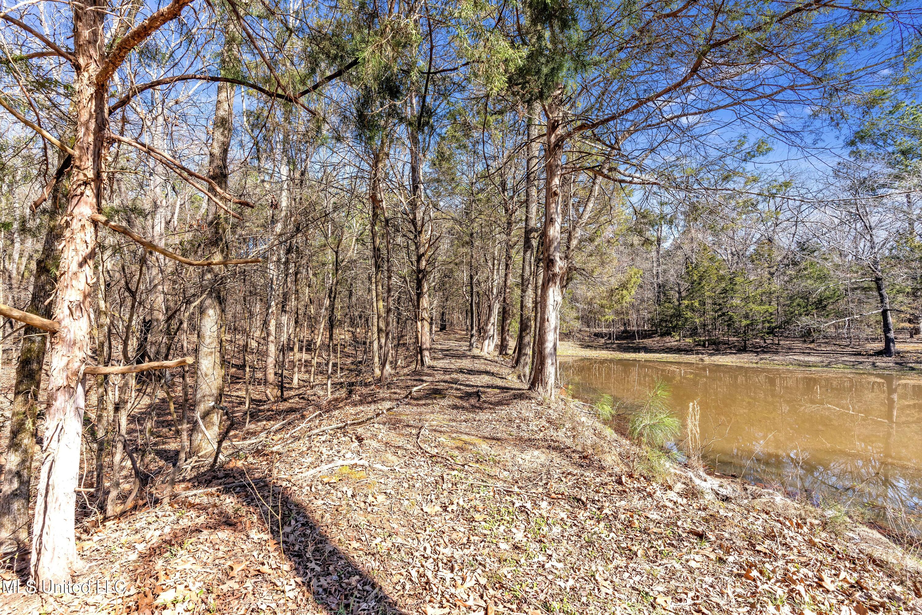 5735 Smith Grove Road Holly Springs, MS 38635 - Photo 25 of 27 Y