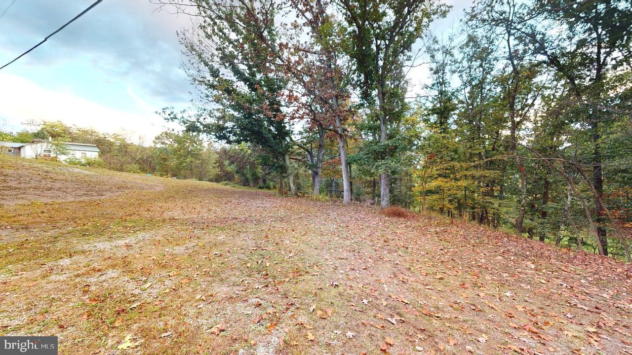 4549 Georges Run Road Ridgeley, WV 26753 - Photo 7 of 48 a view of a yard with an trees
