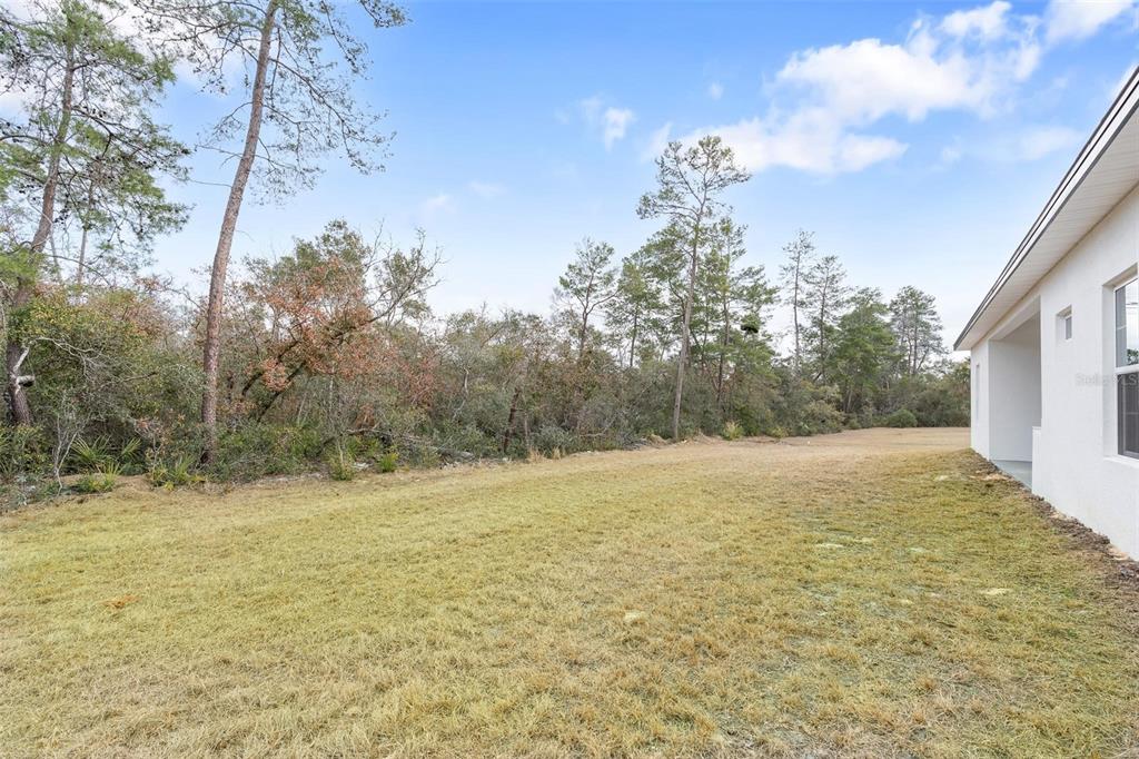 4705 Southwest 159th Lane Ocala, FL 34473 - Photo 24 of 28 a view of a yard with a tree