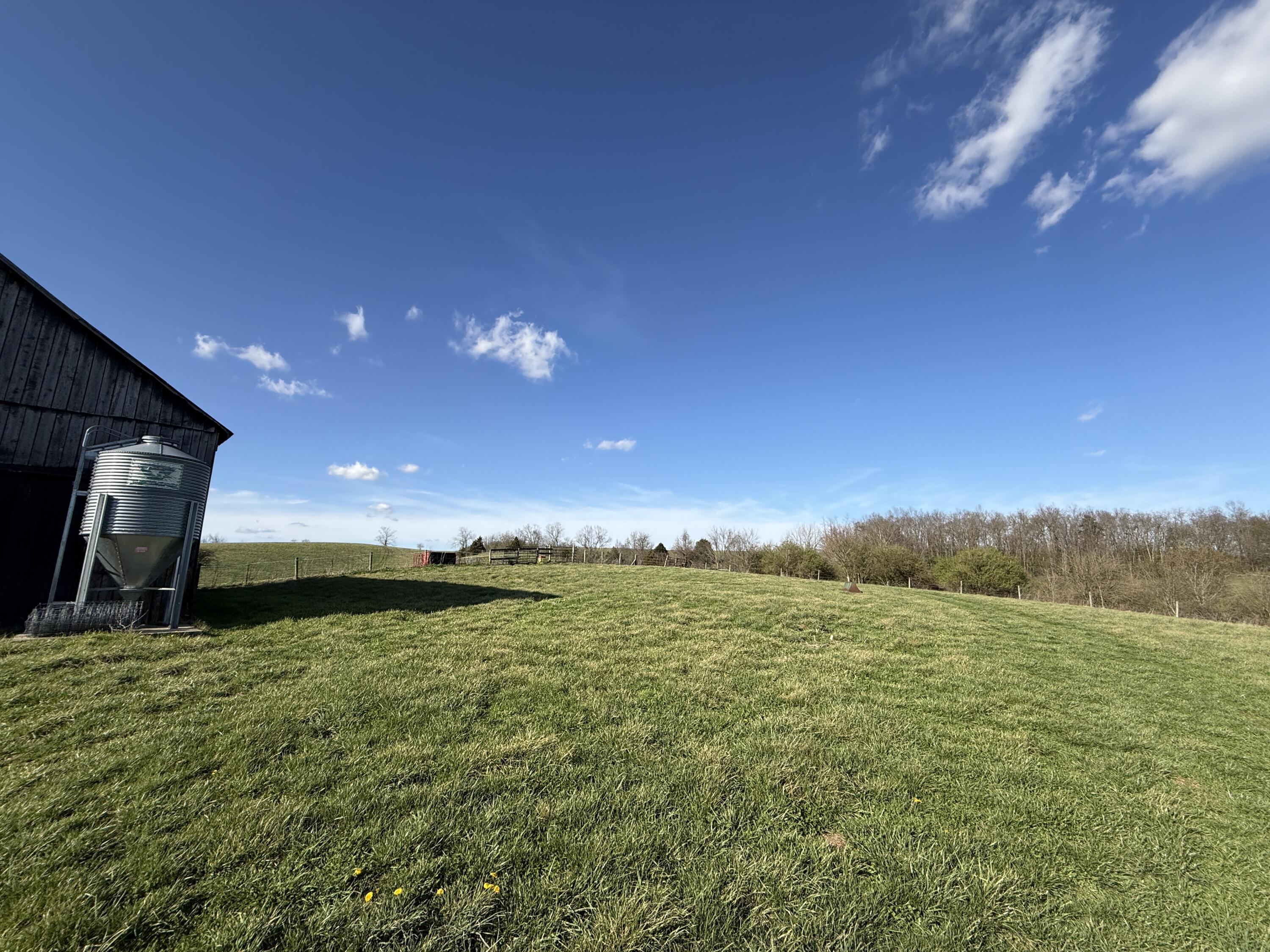 973 Levy Road Paris, KY 40361 - Photo 80 of 91 barn corner