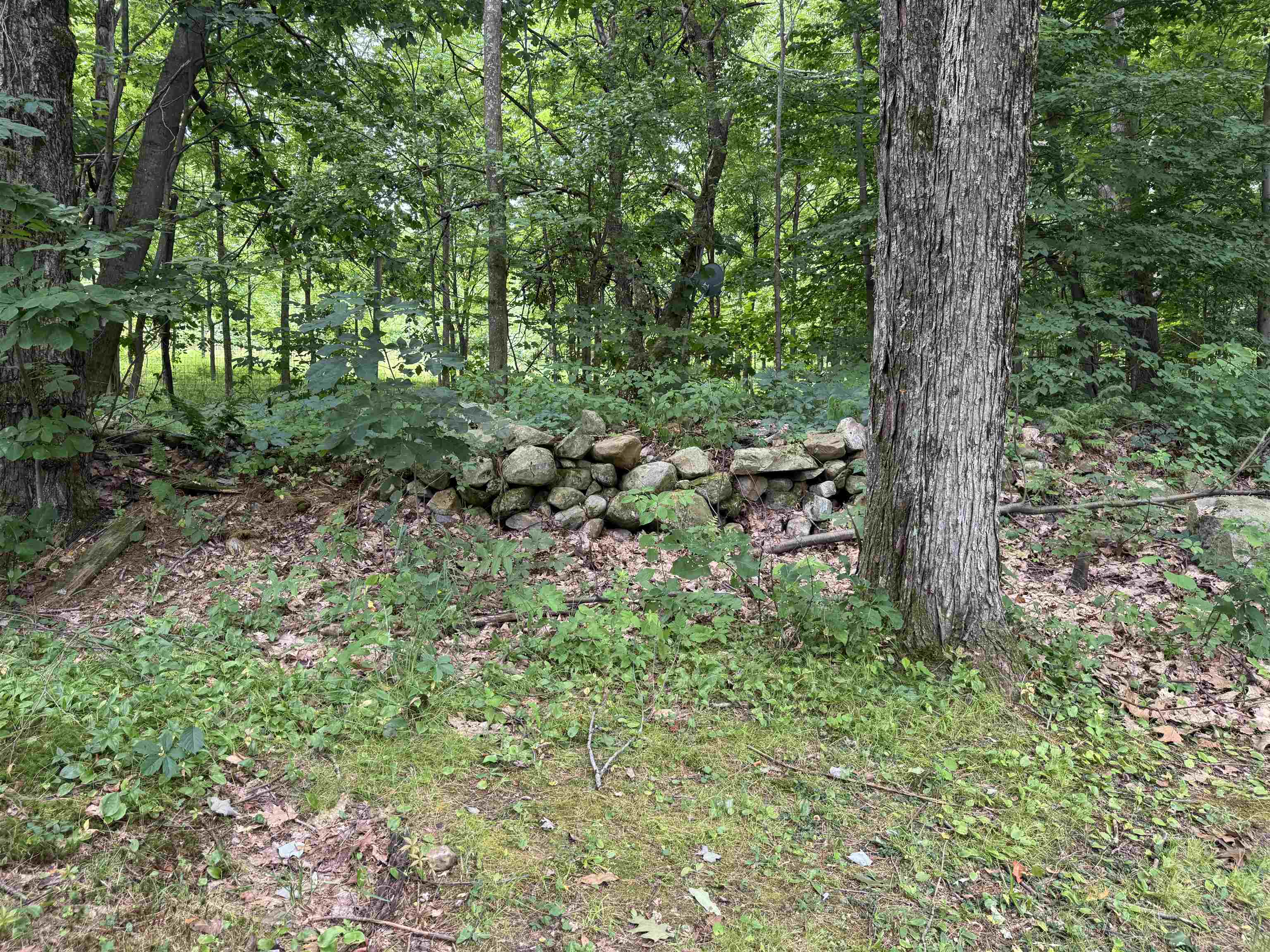 600 Birch Hill Road Brandon, VT 05733 - Photo 7 of 38