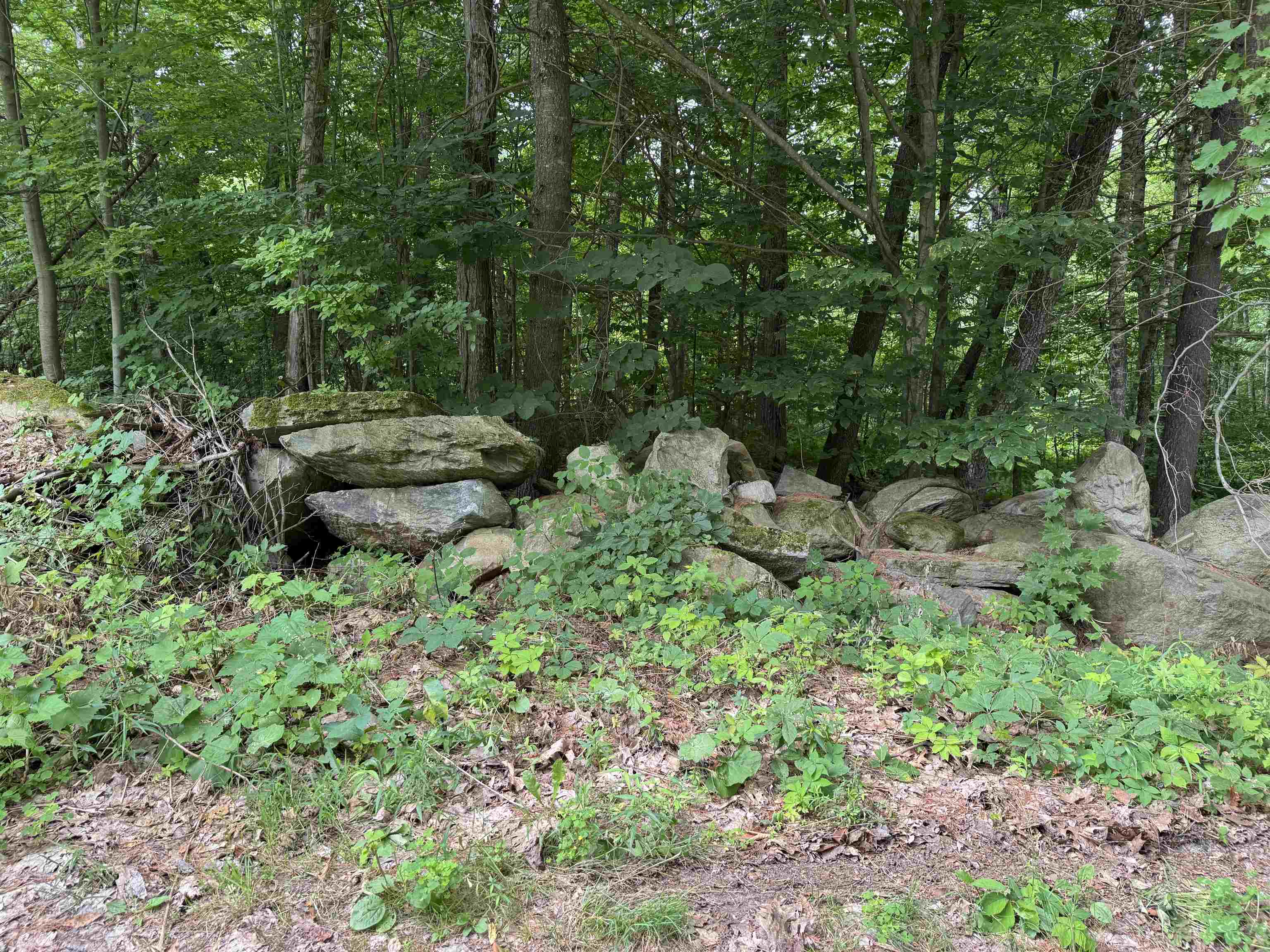 600 Birch Hill Road Brandon, VT 05733 - Photo 8 of 38