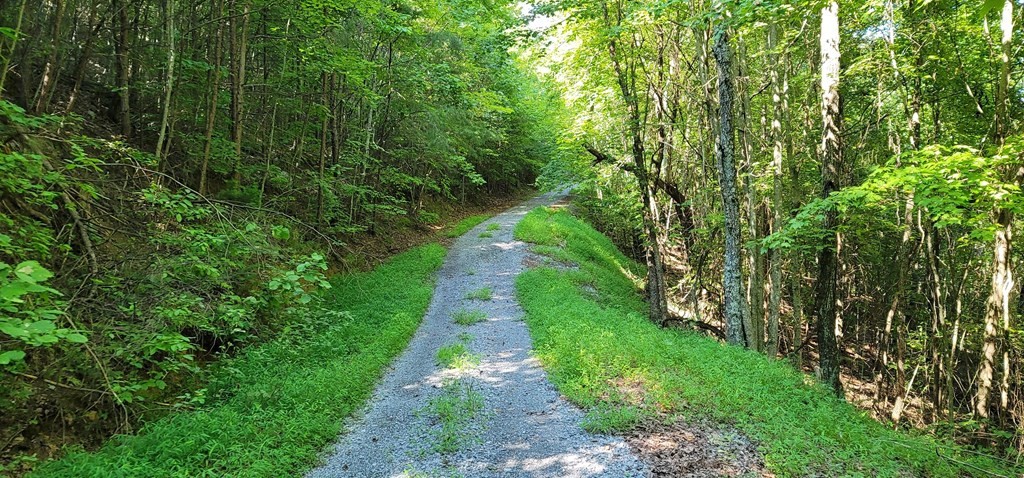 0 Back Valley Road Dayton, TN 37321 - Photo 6 of 20