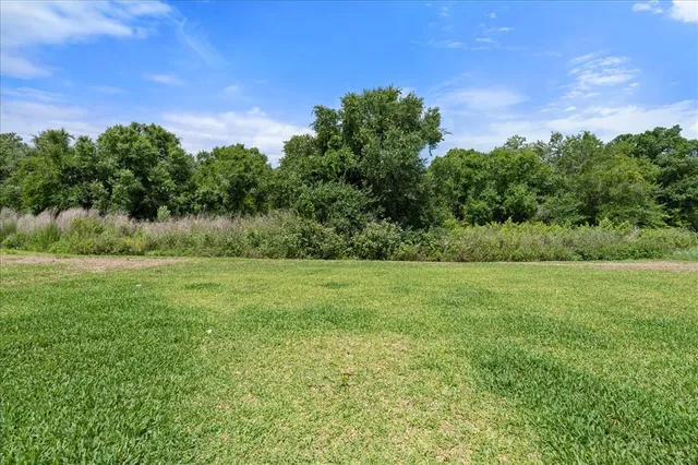 a view of a field of grass and trees