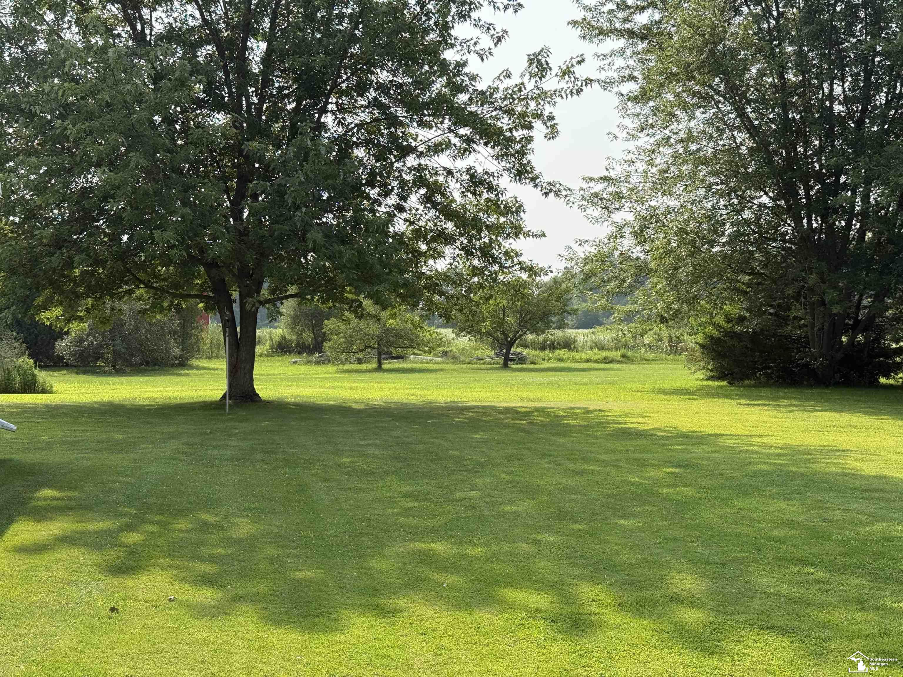 11595 Grafton Road Carleton, MI 48117 - Photo 37 of 43