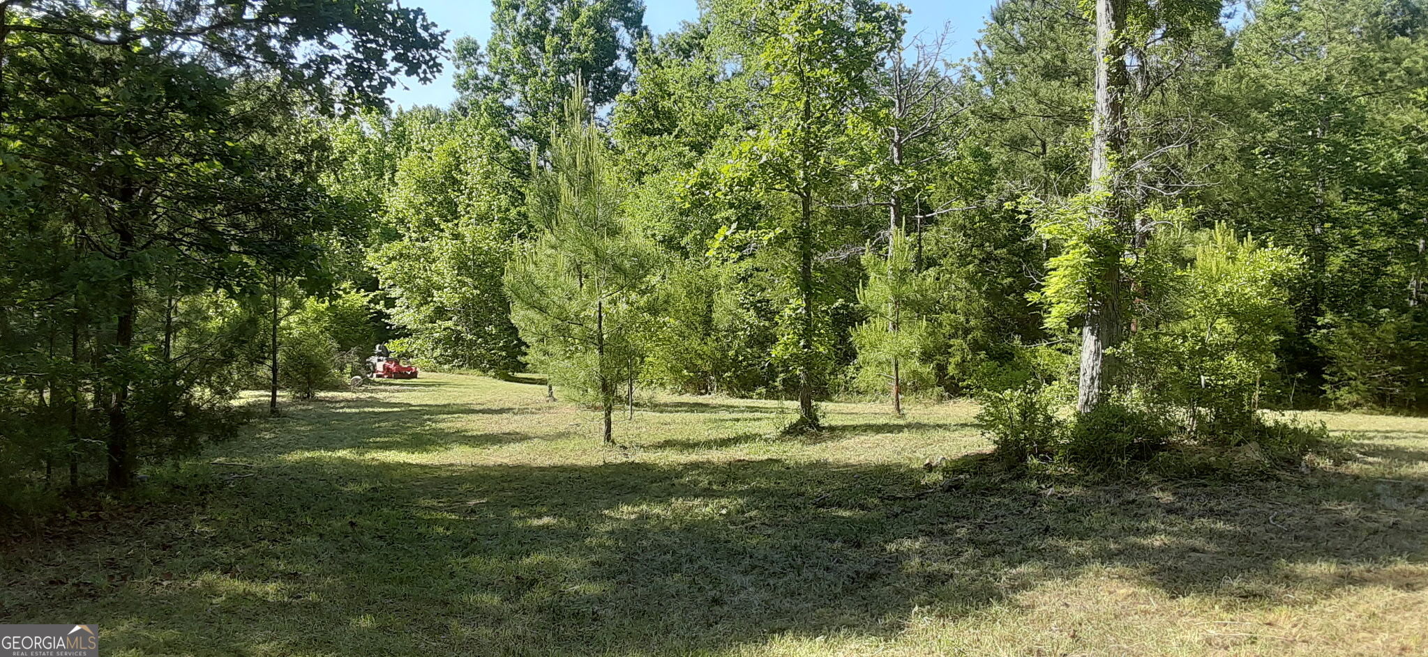 0 Delhi Road Tignall, GA 30668 - Photo 3 of 9 a view of field with trees in background