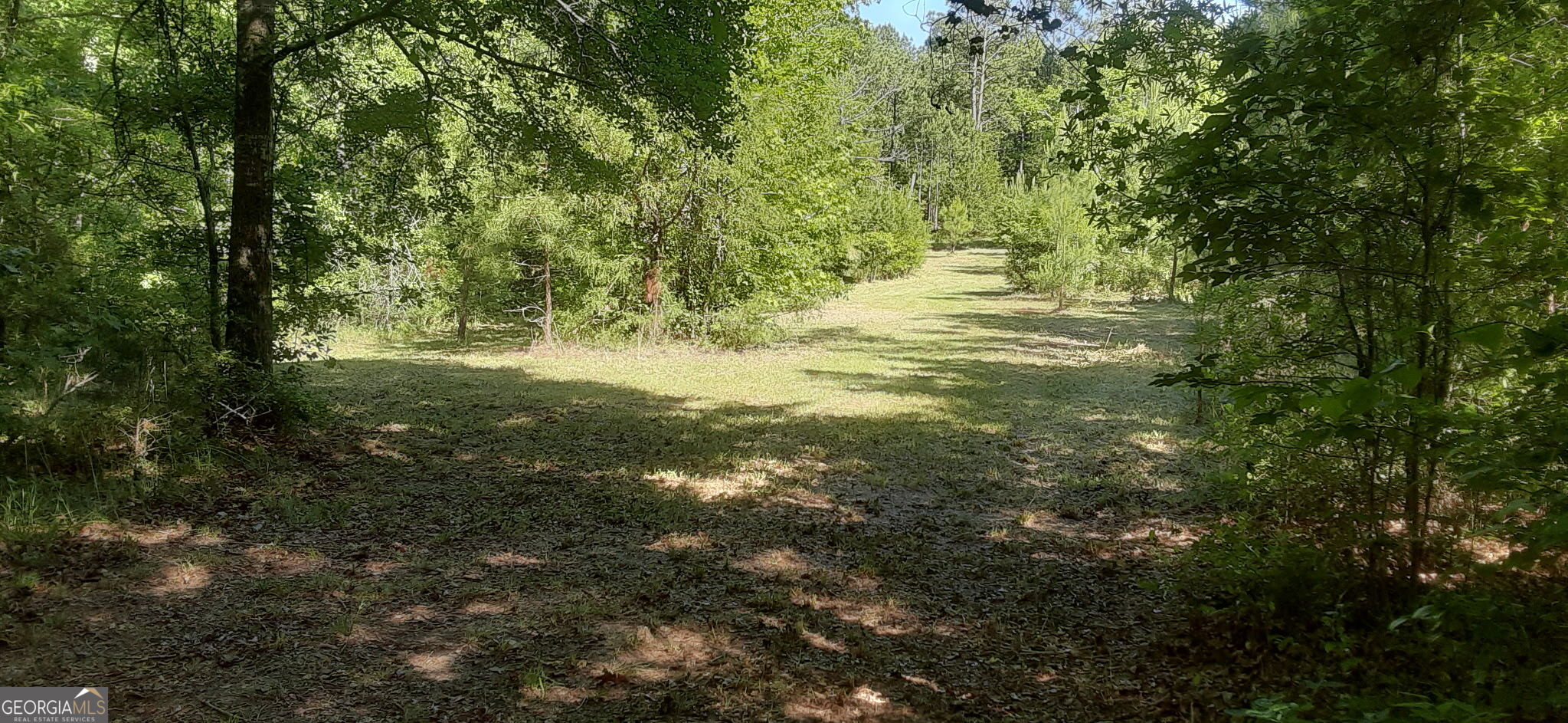 0 Delhi Road Tignall, GA 30668 - Photo 4 of 9 a view of outdoor space and trees