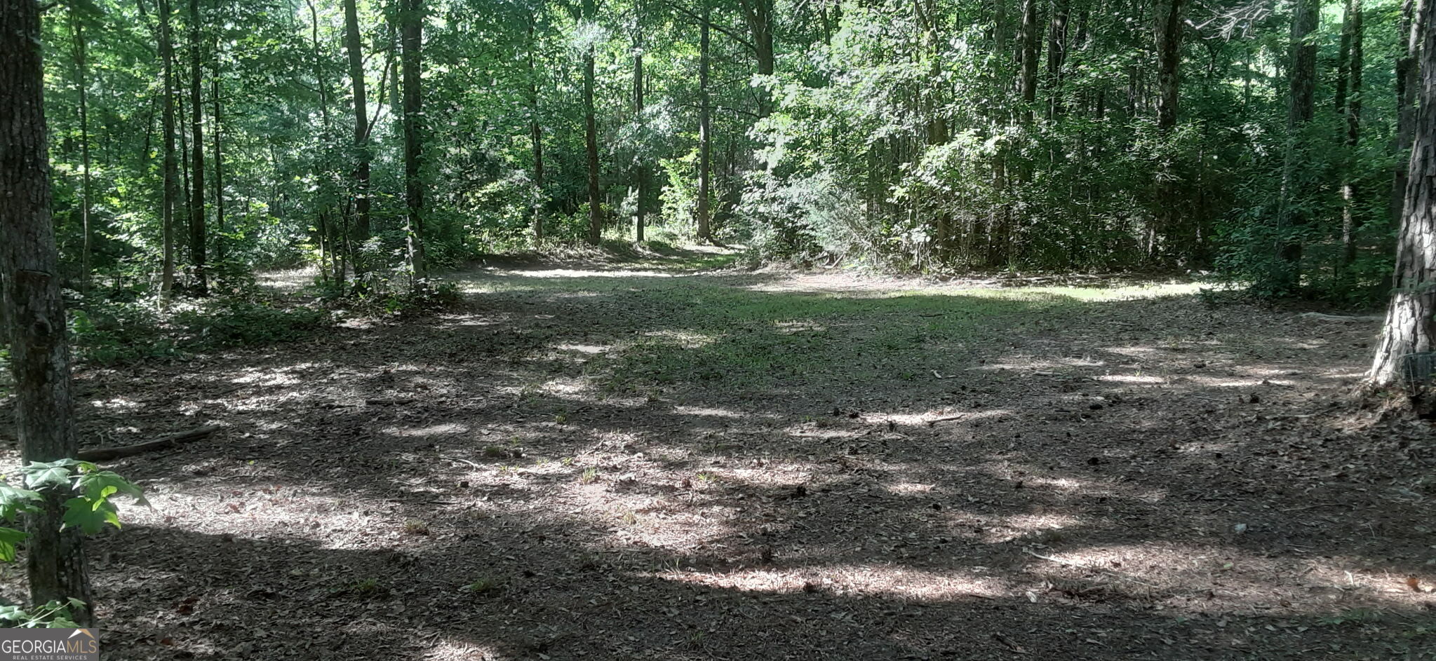 0 Delhi Road Tignall, GA 30668 - Photo 5 of 9 a view of outdoor space and yard