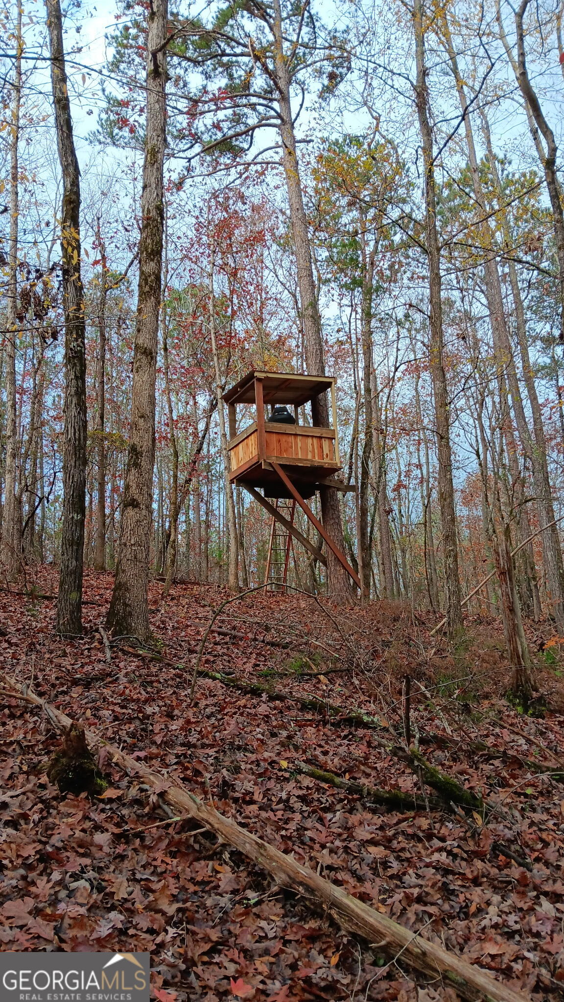 0 Delhi Road Tignall, GA 30668 - Photo 6 of 9 a backyard of a house with lots of green space