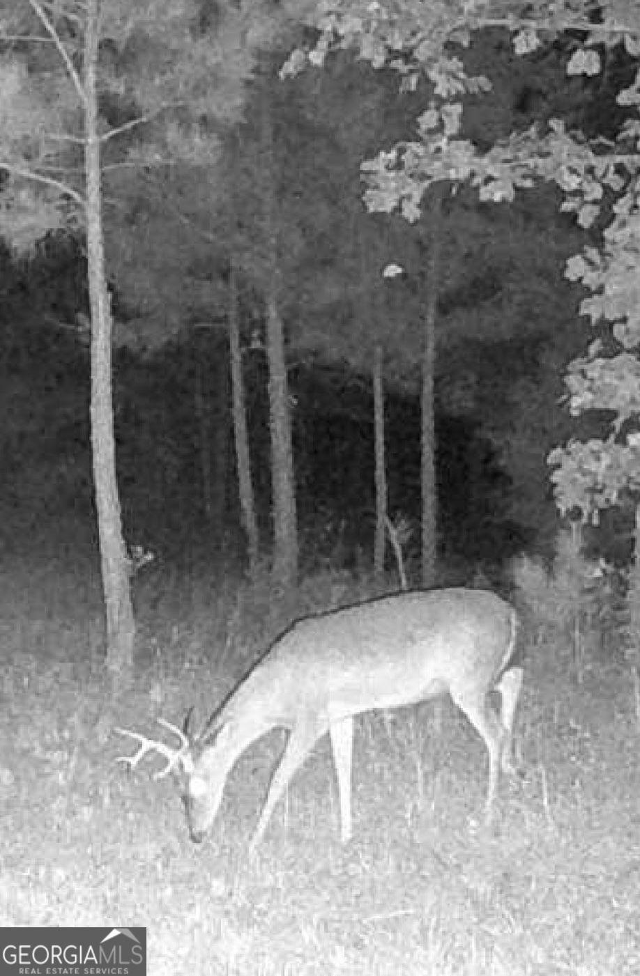 0 Delhi Road Tignall, GA 30668 - Photo 7 of 9 a view of entryway