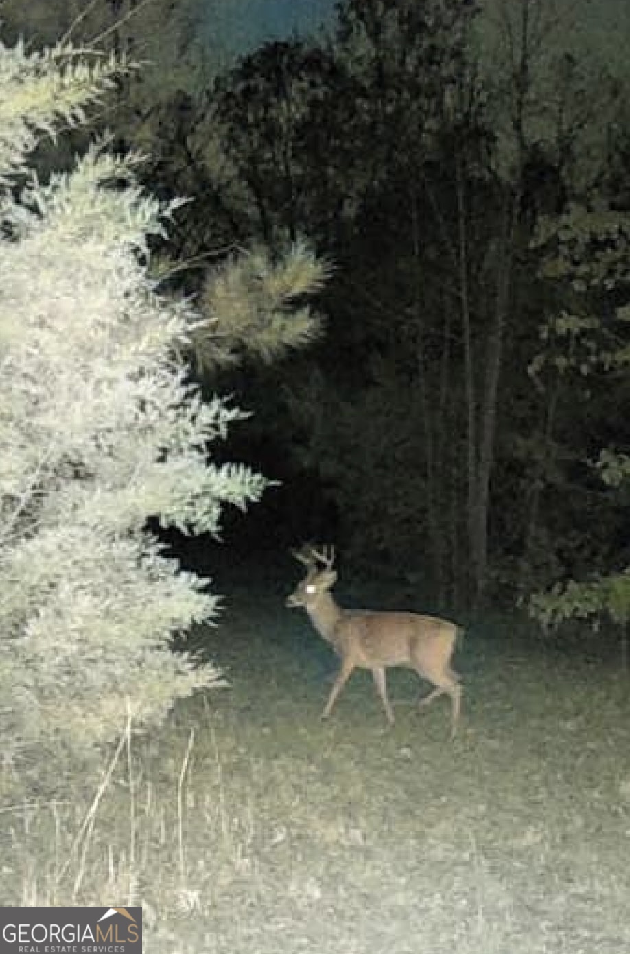 0 Delhi Road Tignall, GA 30668 - Photo 9 of 9 a white bench sitting in middle of a yard