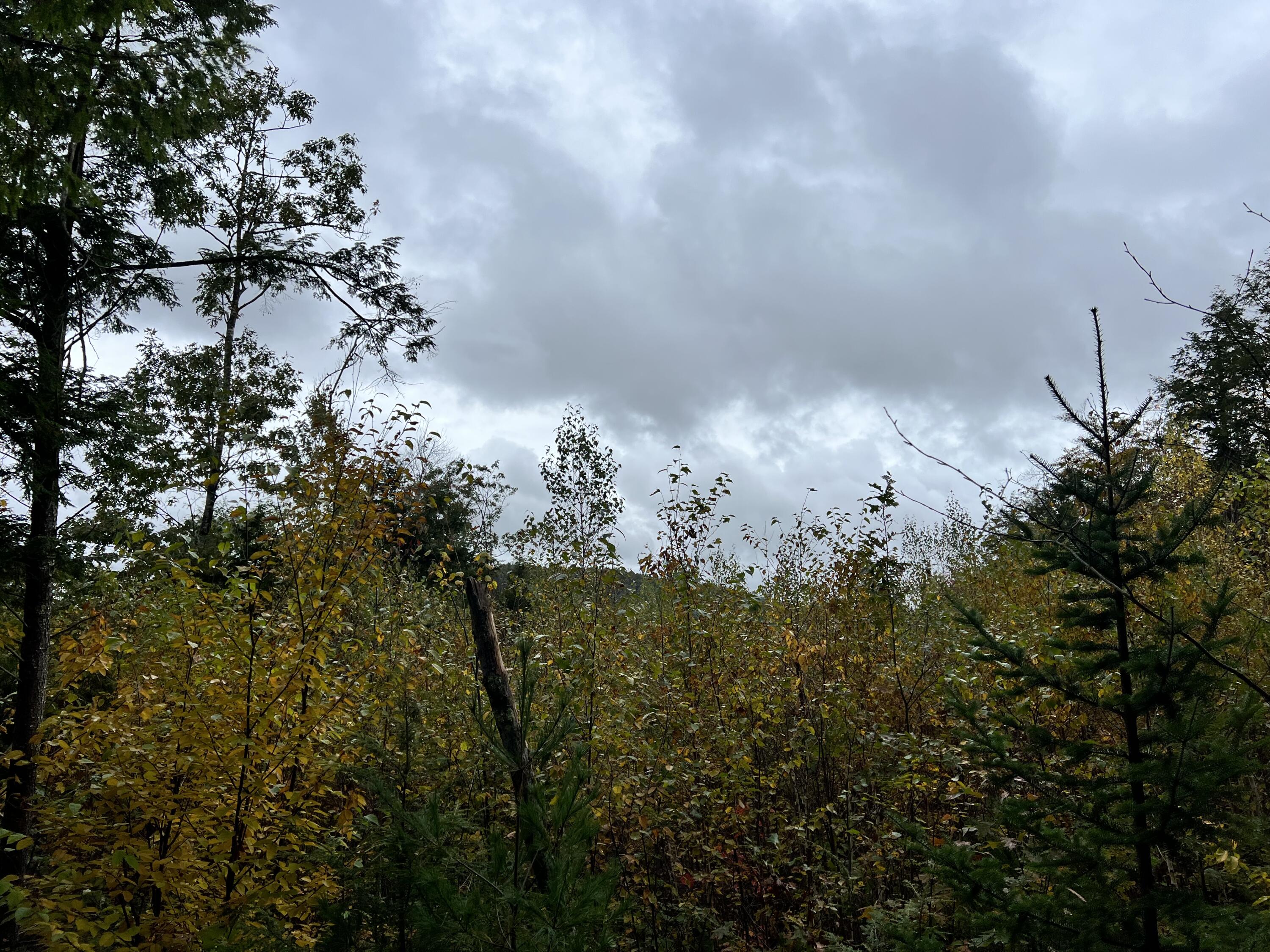 Lot 9 A Ridge Liberty, ME 04949 - Photo 2 of 11 IMG-6952