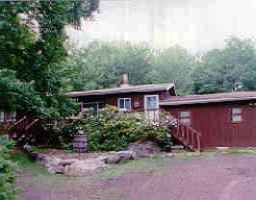 25 Dyson Road Swiftwater, PA 18370 - Photo 1 of 1 a view of a house with a yard plants and large tree
