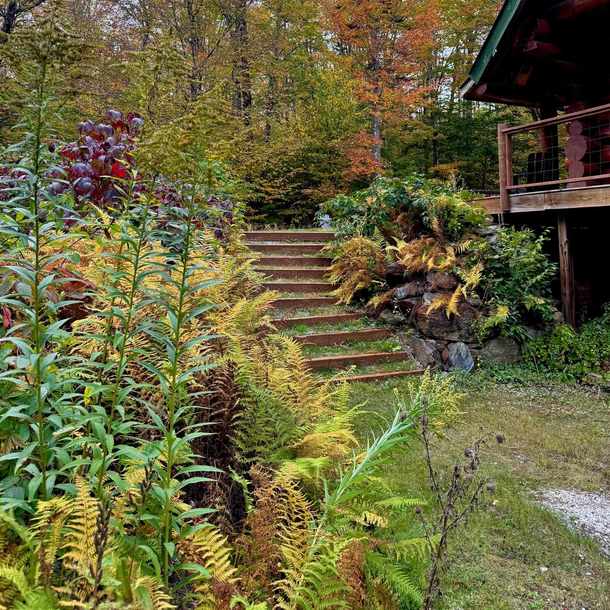 660 Patch Hill Road Mount Holly, VT 05730 - Photo 55 of 59