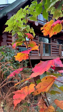 $899,999 | 660 Patch Hill Road, Mount Holly, VT 05730