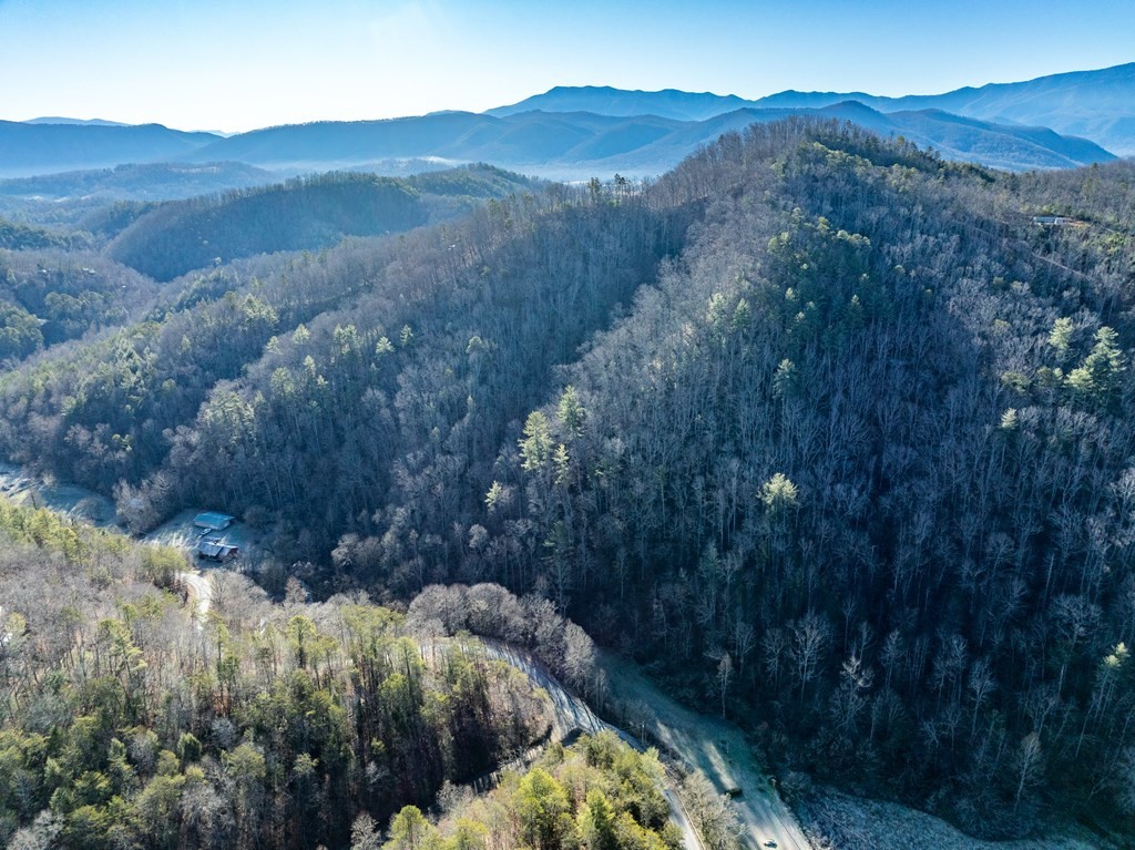 0 Middle Creek Road Cosby, TN 37722 - Photo 28 of 30