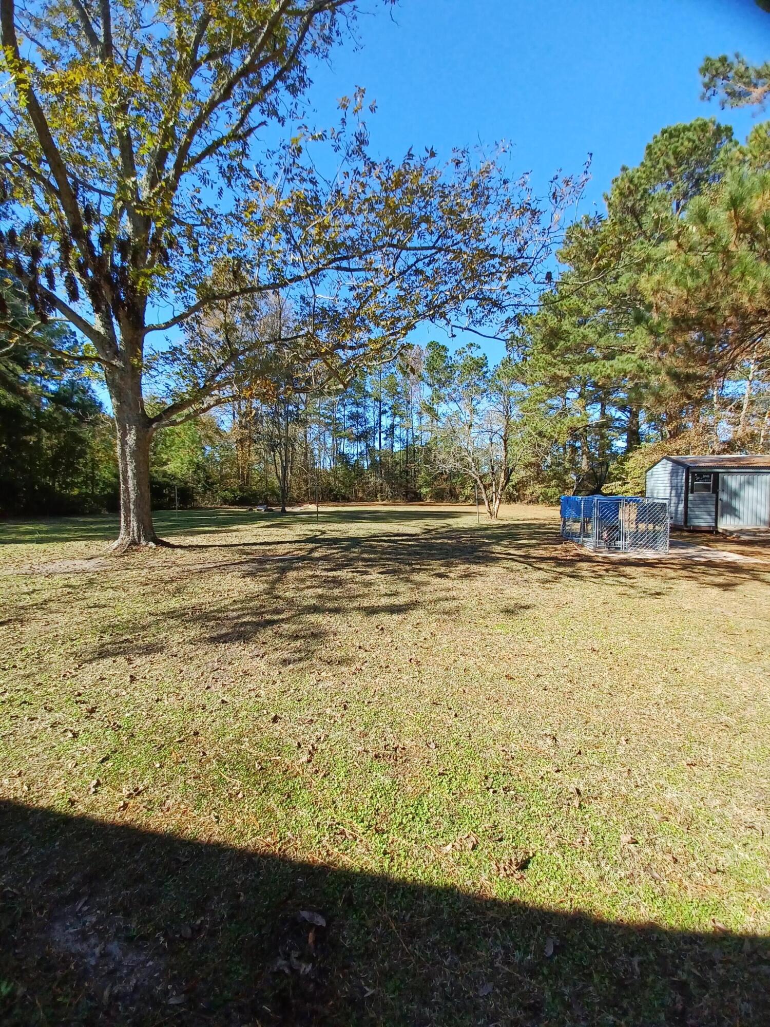 166 Gant Road Reevesville, SC 29471 - Photo 6 of 32 DSC_3848_1