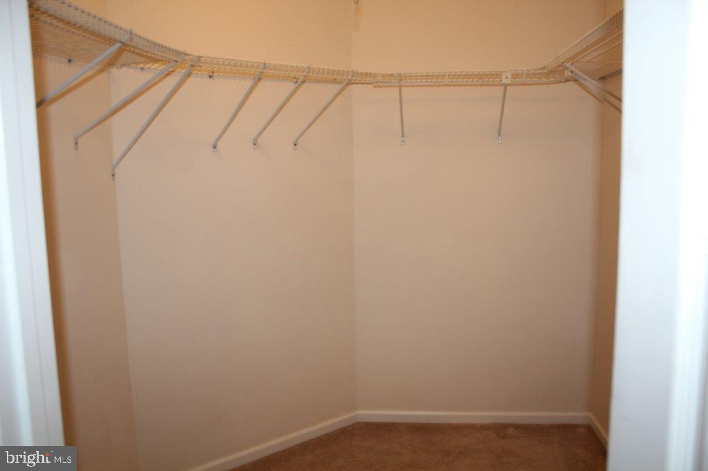 35379 Wango Road Pittsville, MD 21850 - Photo 25 of 39 Primary bedroom walk in closet